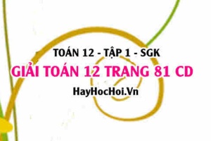 Giải Toán 12 trang 81 tập 1 Cánh Diều